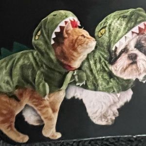 Dinosaur Halloween Dog Costume